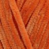 carrot-orange-5605